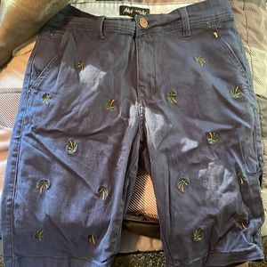 Men’s AéRopostale shorts size 29